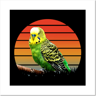 Feathered Flock: Budgies Take Flight on Dynamic T-Shirt Design Posters and Art